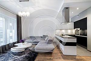 Kitchen and living area in luxury home