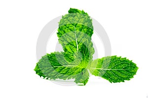 Kitchen mint leaf isolated on white background. Green peppermint natural source of menthol oil. Thai herb for food garnish. Herb f