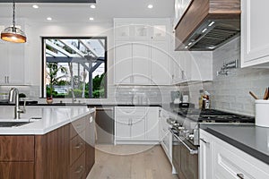 Kitchen in a modern new construction home in Los Angeles