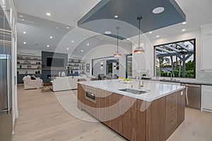 Kitchen in a modern new construction home in Los Angeles