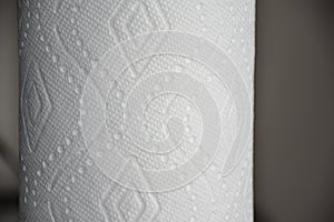Kitchen paper towel roll texture