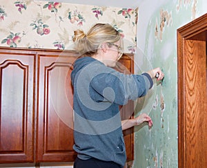 Kitchen Remodel Young Woman Scraping Wallpaper Profile