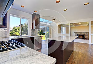 Kitchen room interior with deep brown cabinets with granite counter top