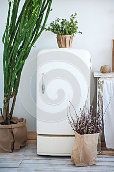 Kitchen in rustic style in summer. Spring light textured kitchen with an old fridge, wooden table, wooden shelves. A large cactus,