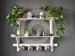 Kitchen shelf shabby chic