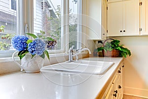 Kitchen sink with white cabinets and flowers.