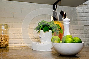 Kitchen Stone Counter with Limes, Peppermint, Pepper Mill, Healthy