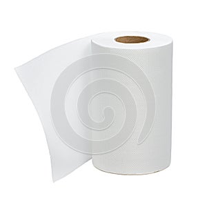 Kitchen or toilet paper