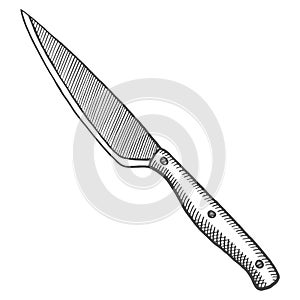 Kitchen utility knife isolated doodle hand drawn sketch with outline style