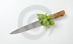 Kitchen utility knife