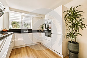 a kitchen with white cabinets and a potted plant