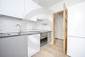 Kitchen with white and gray furniture and appliances with oak wood door