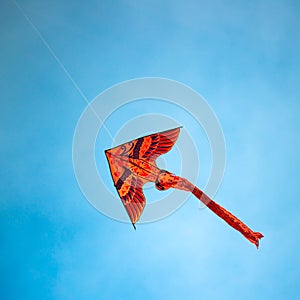 Kite photo