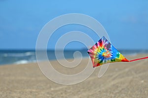Kite at the beach