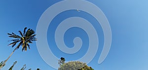 Kite Flying at Blue Sky