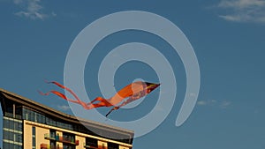 Kite Festival. Holiday on the beach. Kites of various shapes. Entertainment for tourists. .