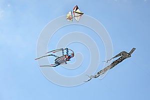 Kite festival.Kites in the sky in Atlantic ocean