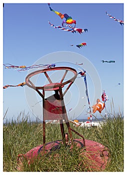 Kite Festival