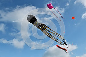 Kite festival. Octopus kites in the sky in Atlantic ocean