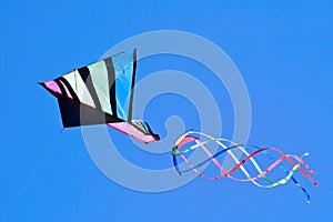 Kite in Flight