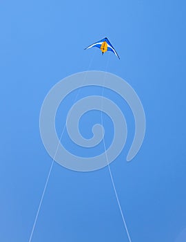 A kite flying