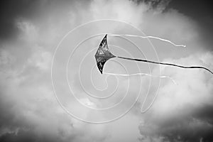 Kite flying against the blue sky