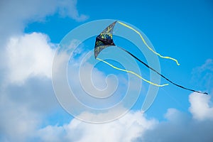 Kite flying against the blue sky