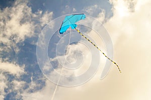 Kite flying against the blue sky on a sunny day