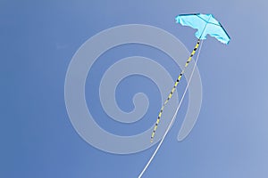 Kite flying against the blue sky on a sunny day