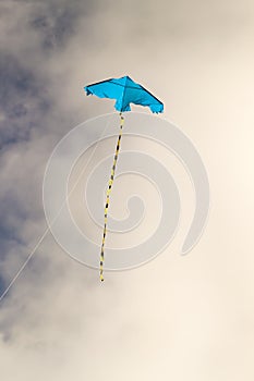 Kite flying against the blue sky on a sunny day