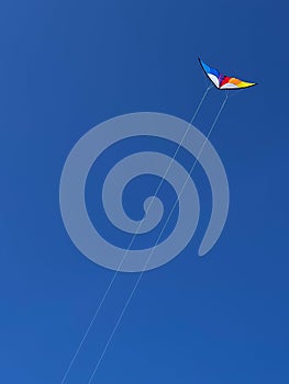 Kite Flying Against A Clear blue Sky On A Summer cloudless day. Graphical concept with copy space