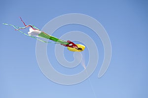 Kite flying in the air