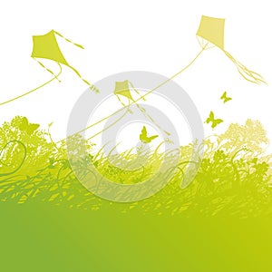 Kite flying in the air