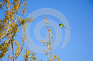 A kite flying in the autumn sky