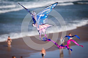 Kite flying on the beach