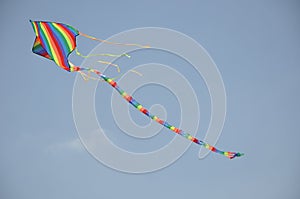 Kite flying in the sky