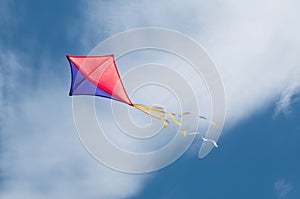 Kite flying in the sky