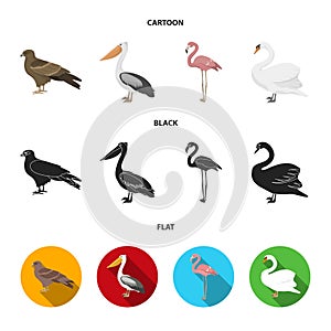 Kite, pelican, flamingo, swan. Birds set collection icons in cartoon,black,flat style vector symbol stock illustration
