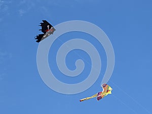 Kite pirate flag and bird in the blue sky