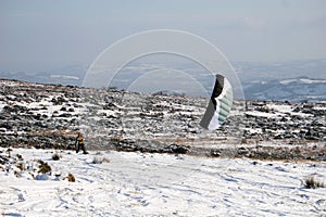 Kite skiier photo