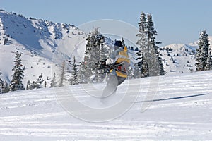 Kite skiier photo