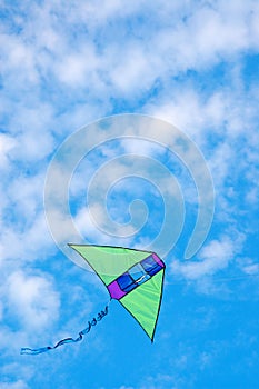 Kite in the sky