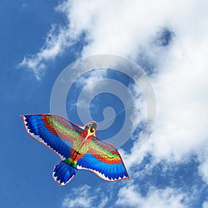 The kite sky flight toy blue