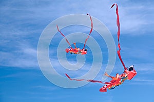 Kite sky flying