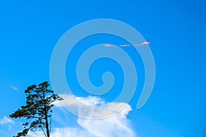 Kite in the sky and a lonely tree