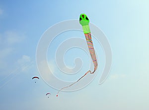 Big kite snake flying over blue sky