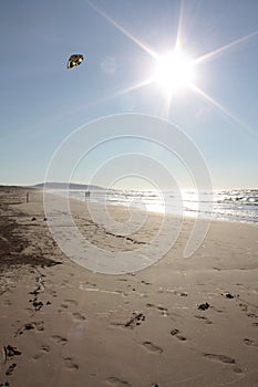 Kite on sun photo