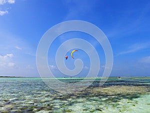 Kite surfing and wind surfing in the caribbean sea, Los Roques, Venezuela