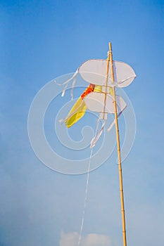 the kite on the top of bamboo stick