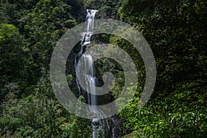 KiteKite Falls, Piha, Auckland